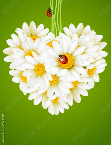 Floral love card (camomile heart)