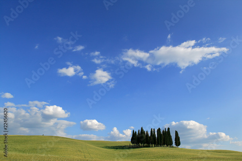 landscape around siena tuscany italy