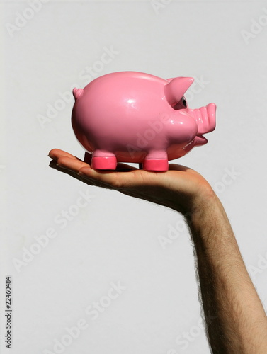 tirelire, cochon, rose, argent, banque,main photo