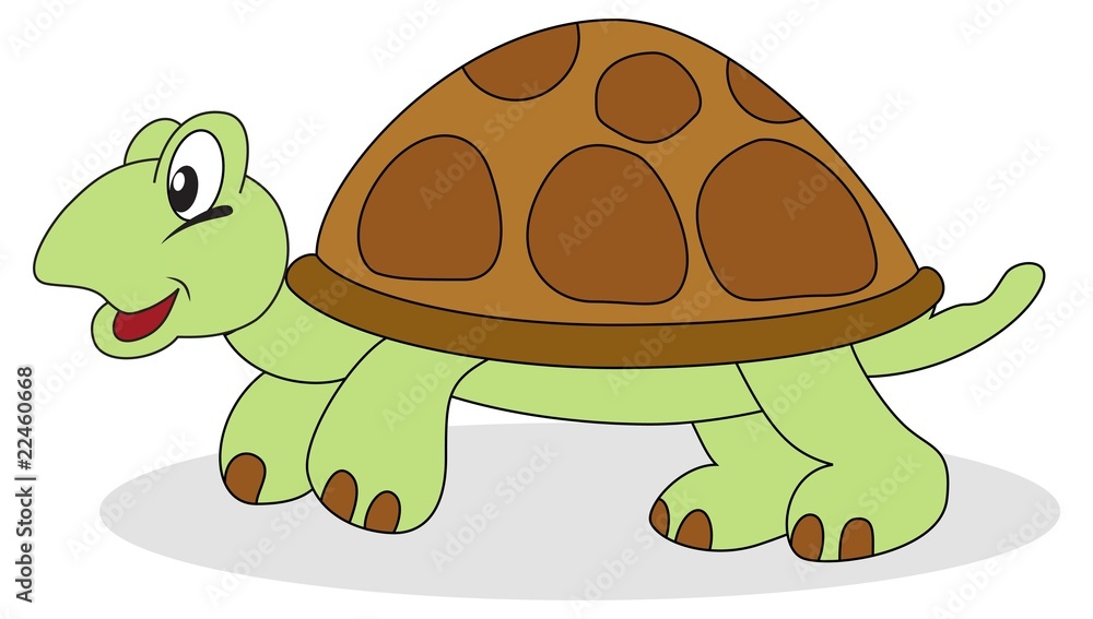 Obraz premium Turtle