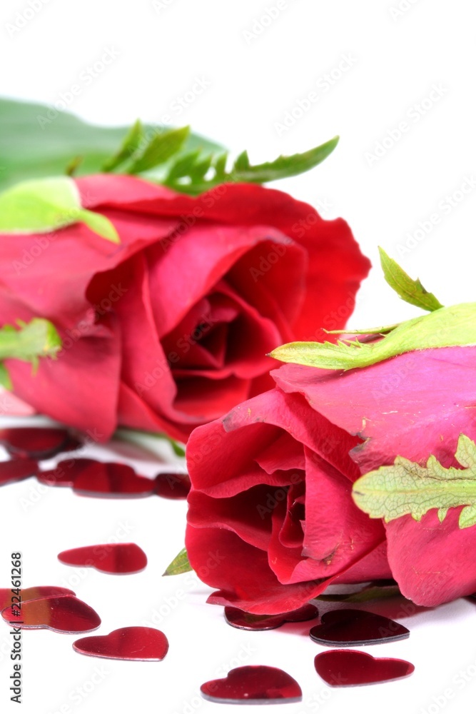 zwei rote Rosen mit Herzen zwei rote Rosen mit Herzen