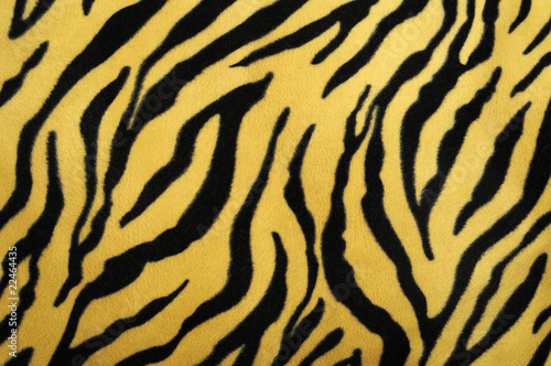 pattern of a tiger skin, excellent wildlife background