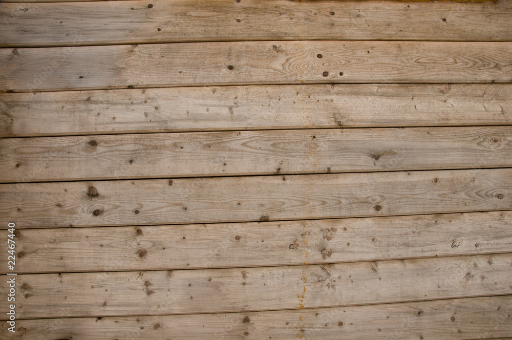 Obraz premium Texture