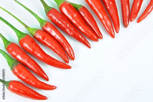 Fresh red pepper pattern