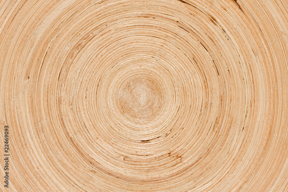 spiralmuster spiralmuster
