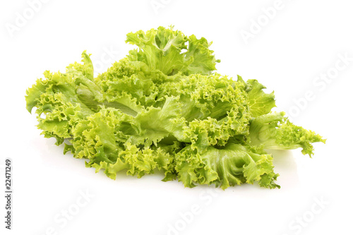 Green lettuce salad isolated on white background