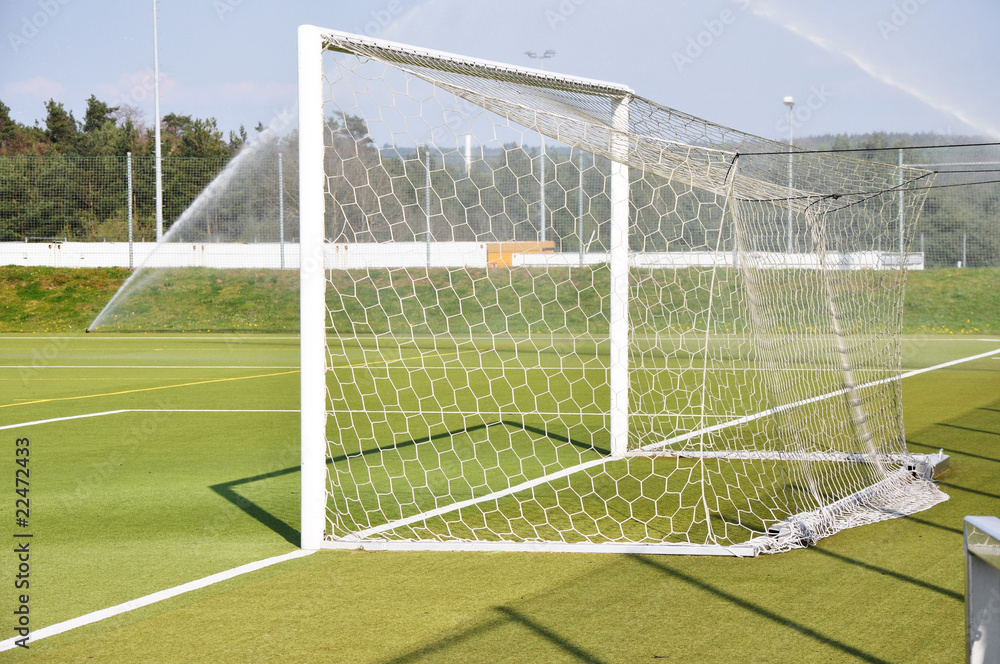 Fototapeta premium Fußballtor