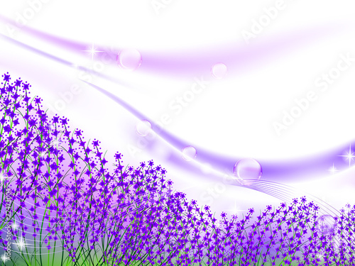 lavender inspiration