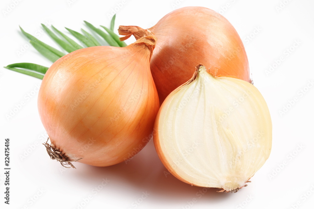 Fototapeta premium Fresh bulbs of onion on a white background