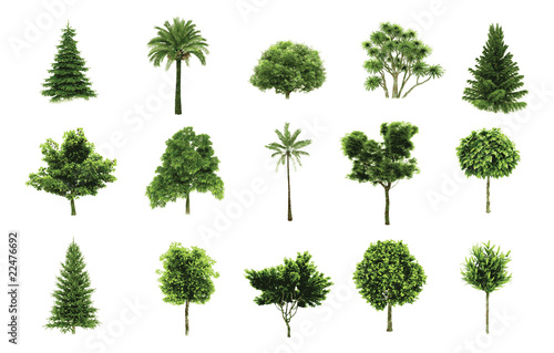 Vector trees