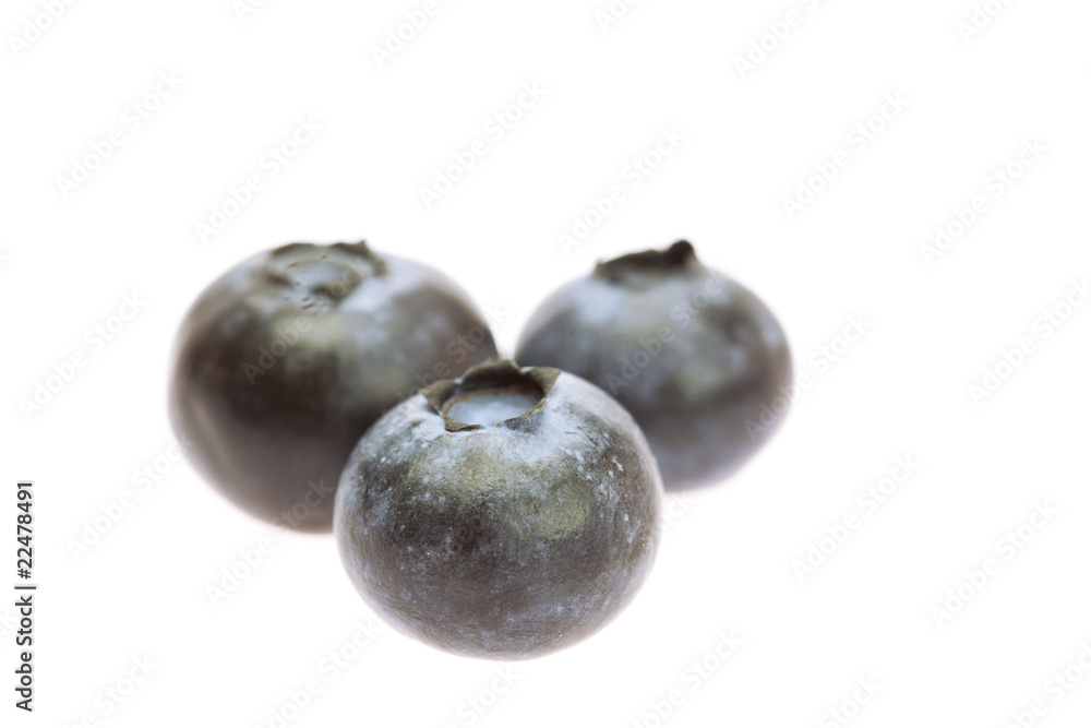 blueberries isolated on white blueberries isolated on white