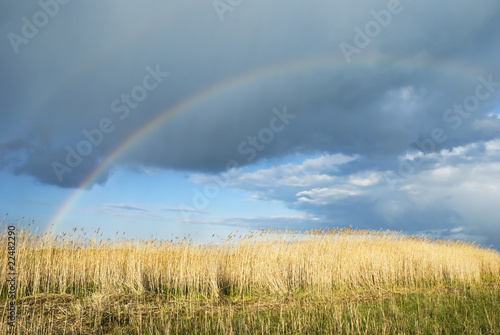 A beautiful rainbow against a dark moody sky