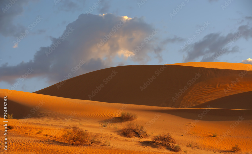 Imperial Sand dunes