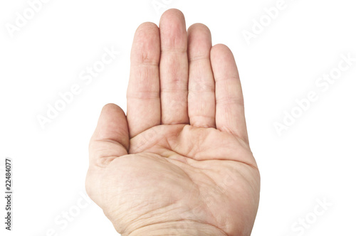 Foto Mano 03 05 10