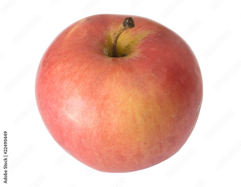 fresh red apple over white background fresh red apple over white background