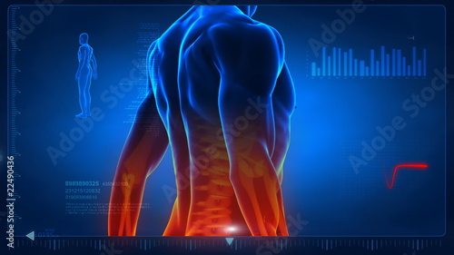 Human scan in loop 2 - chest and back parts
