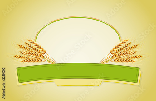 Package desing.Vector illustration of ears of wheat and lable.
