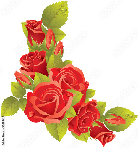 Bouquet of red roses