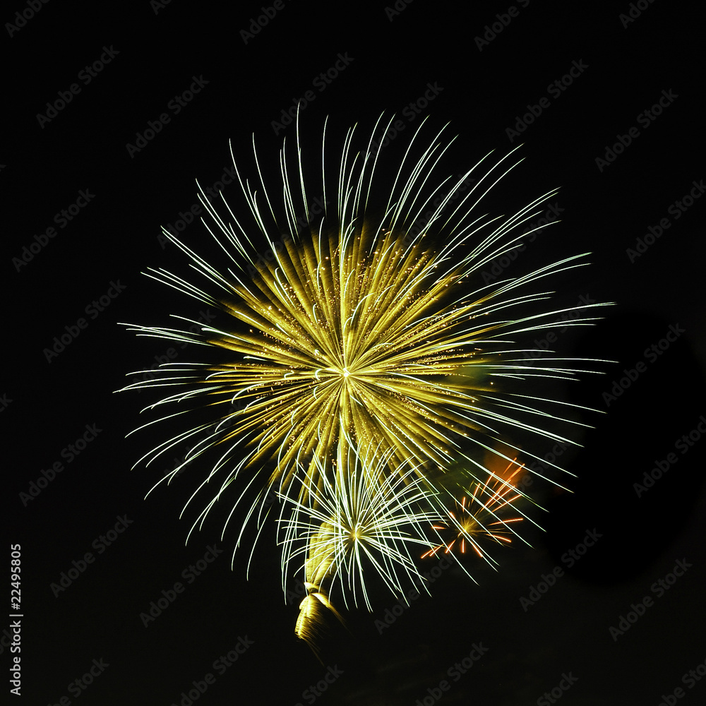 Fireworks display Fireworks display