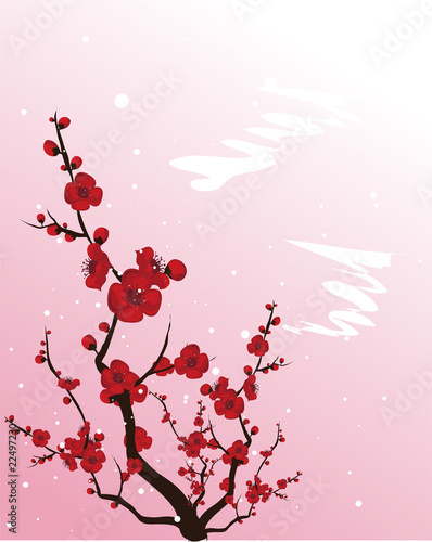 blooming plum-tree..