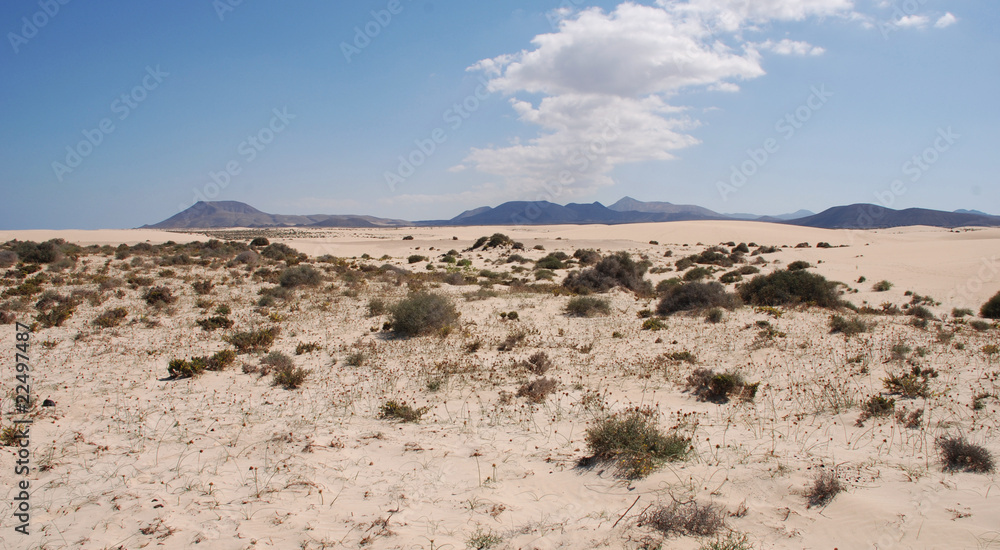 Sand Dunes