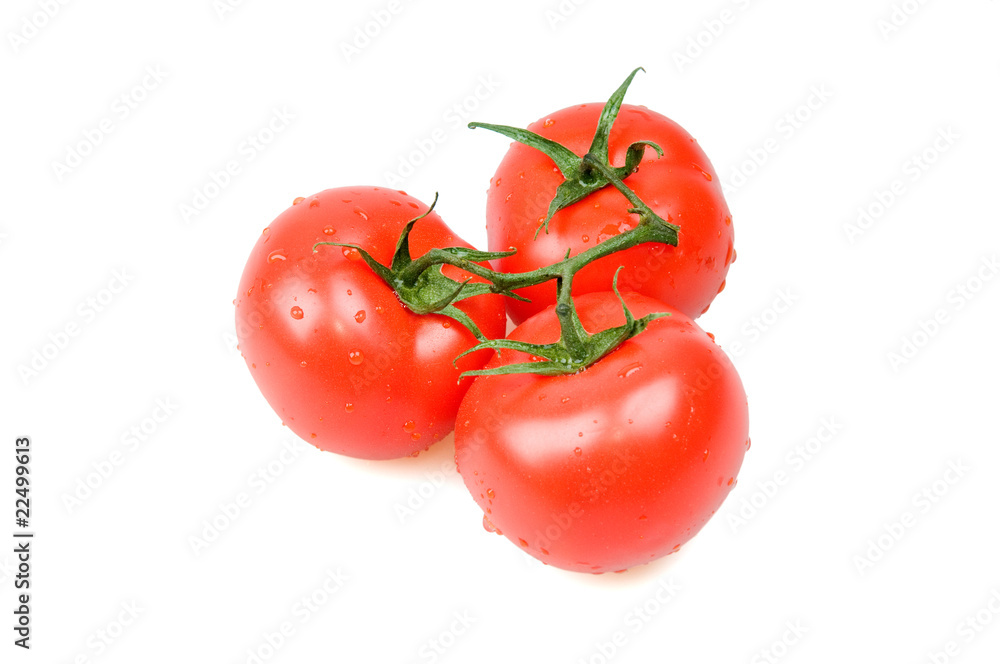 Three Red Tomato Three Red Tomato