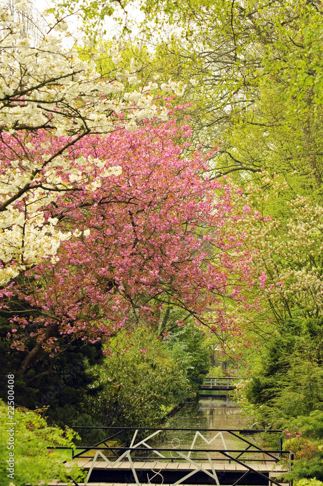 Naklejka premium Beautiful nature