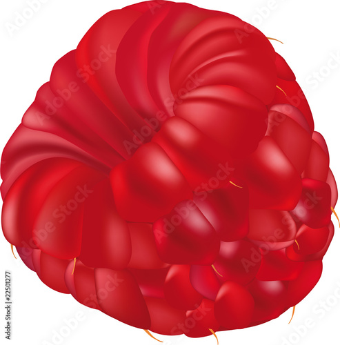 Raspberry