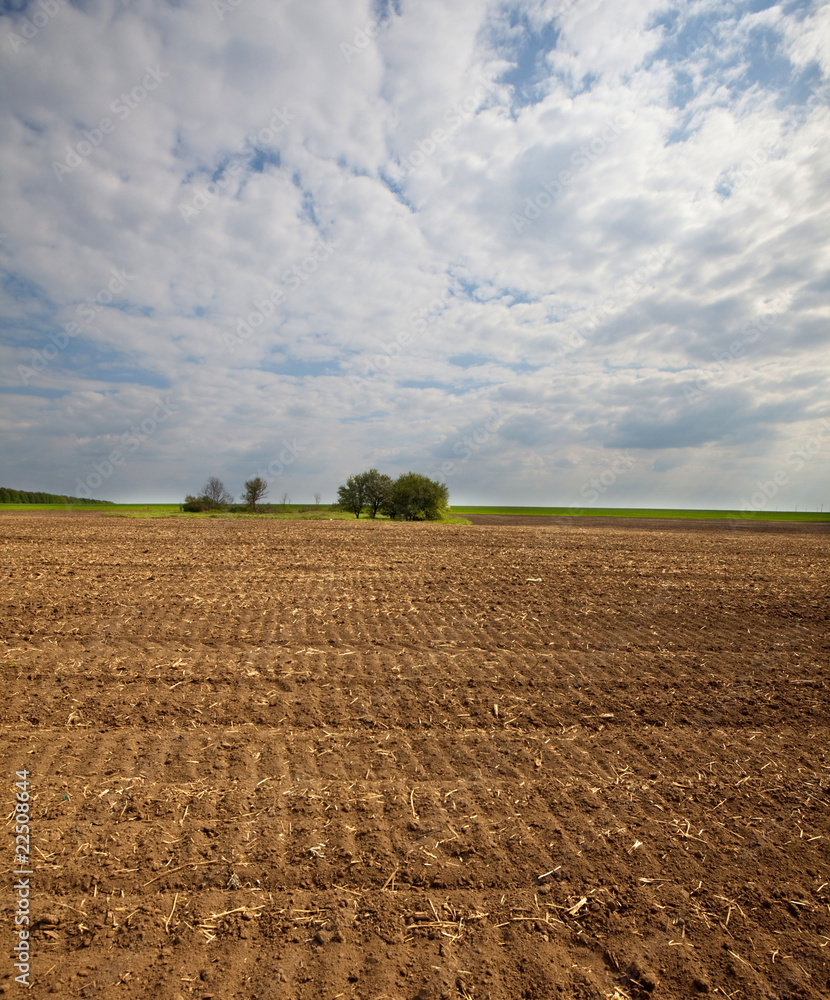 Fields Fields