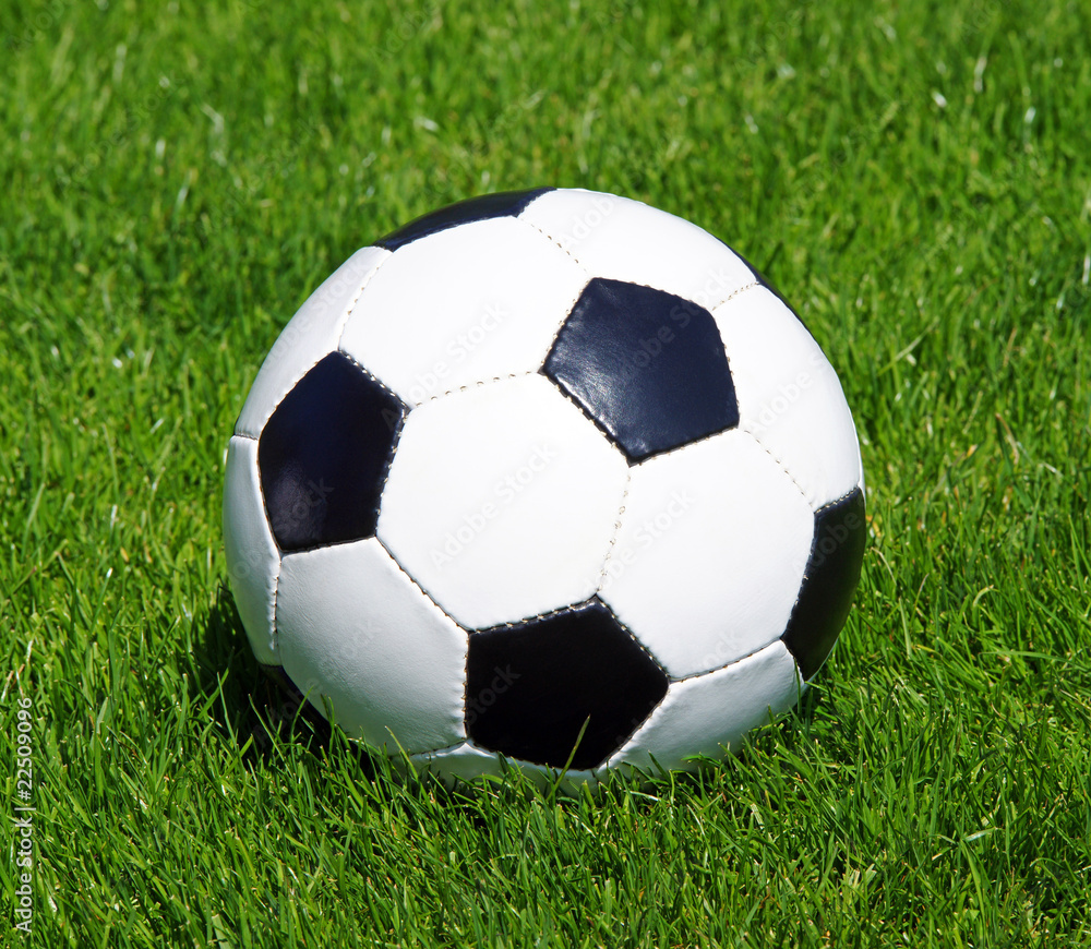 Fototapeta premium Fußball mit grünem Rasen auf Fussballplatz