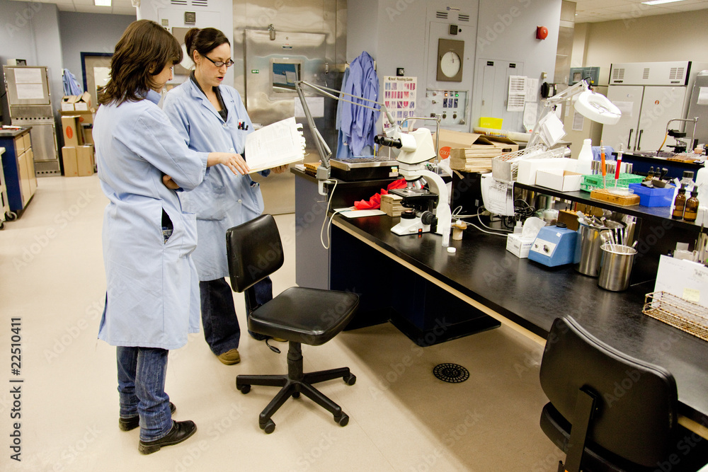 Fototapeta premium Femmes en laboratoire