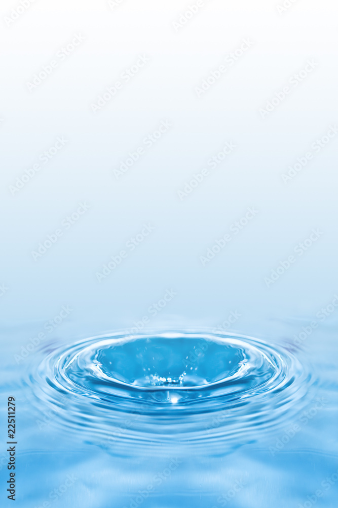splash splash