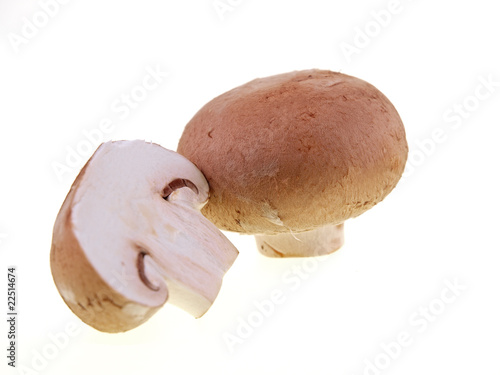 brown button mushrooms on white background