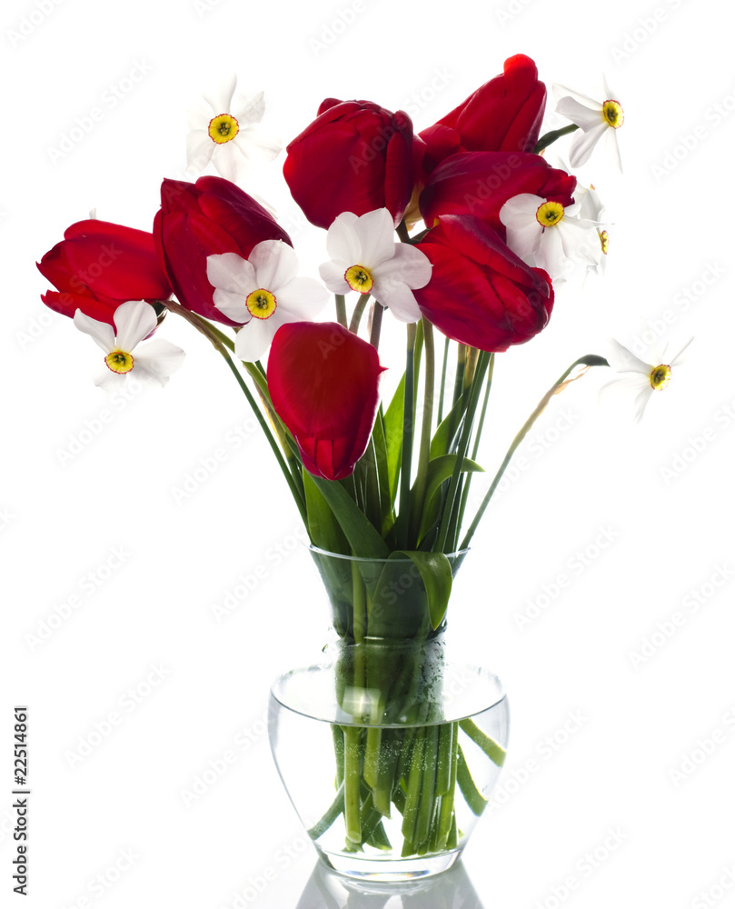 Red tulips and white narcissuses in vase Red tulips and white narcissuses in vase