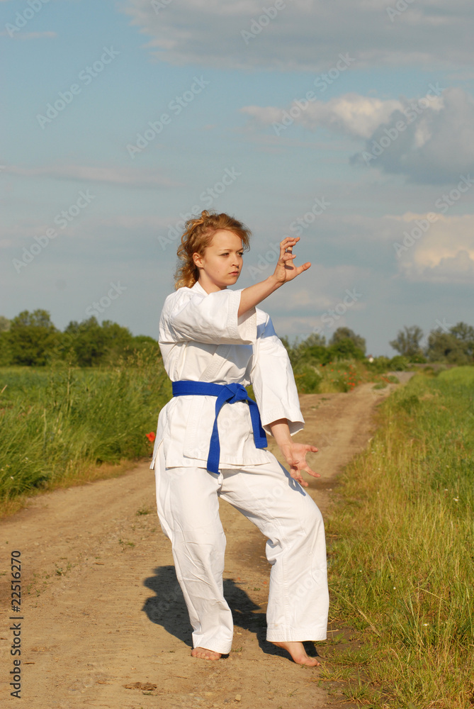 karate training young girl on the meadow karate training young girl on the meadow
