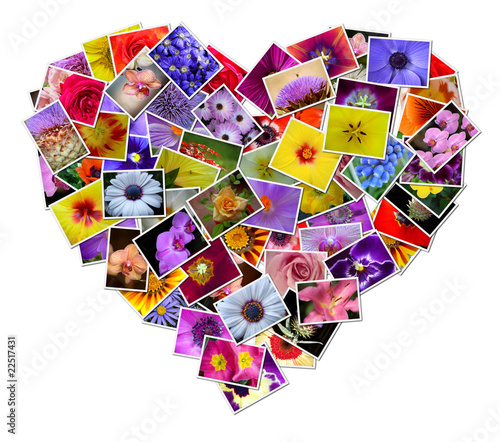 Fototapeta Naklejka Na Ścianę i Meble -  Flowers Collage