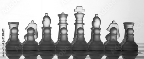 Chess Set Collection: The Best Team