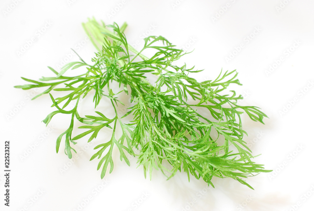 Dill