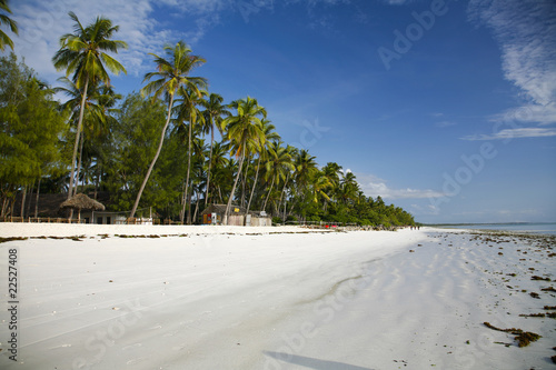 zanzibar, kiwenga