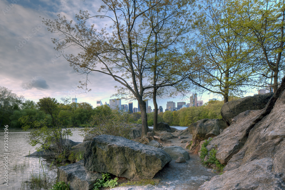 Spring in Central Park on the lake Spring in Central Park on the lake
