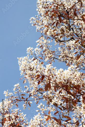 Frühling