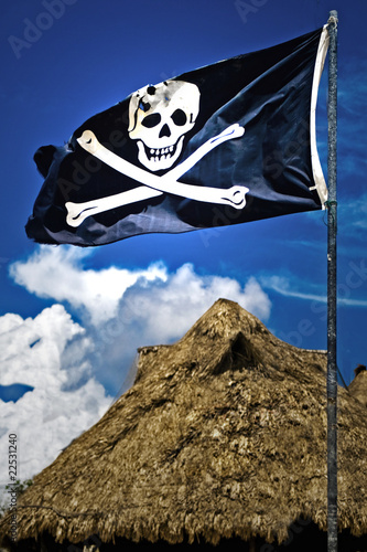 Bandeira Pirata