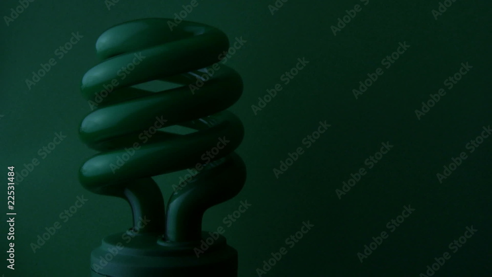 Green, energy efficient bulb Green, energy efficient bulb