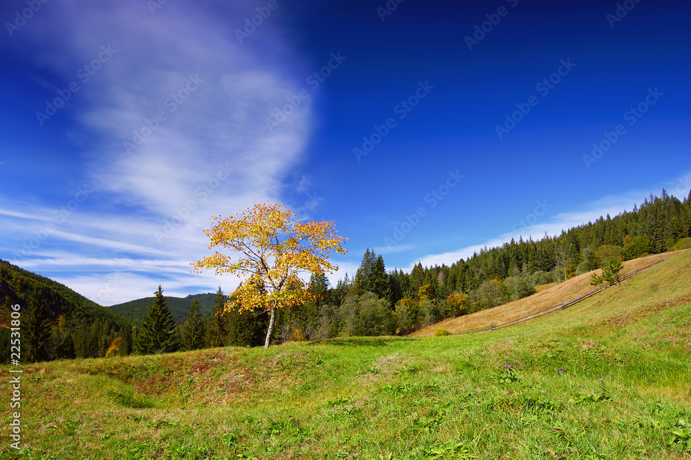 Fototapeta premium Mountain landscape in the end of summer