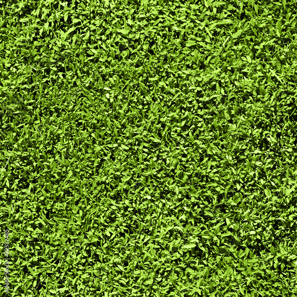 Grass seamless pattern