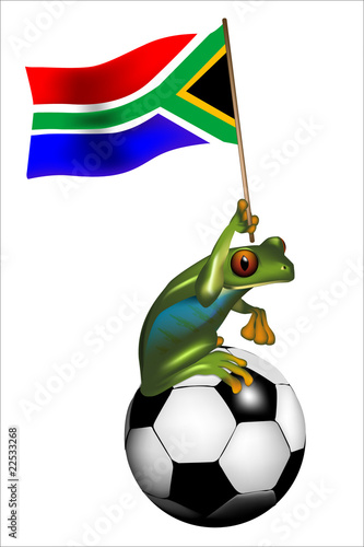 Fussballfrosch