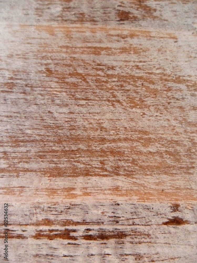 Fototapeta premium Holz