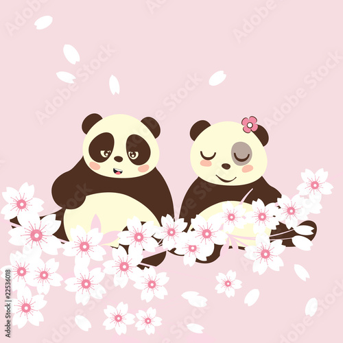 Fototapeta Naklejka Na Ścianę i Meble -  Panda