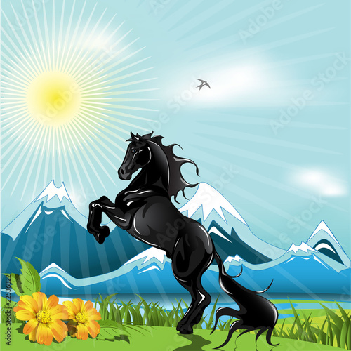 black horse
