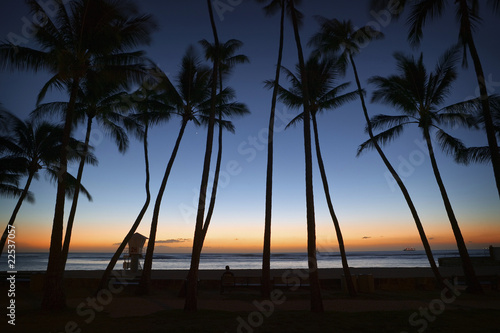 Honolulu Sunset © Etrayne04